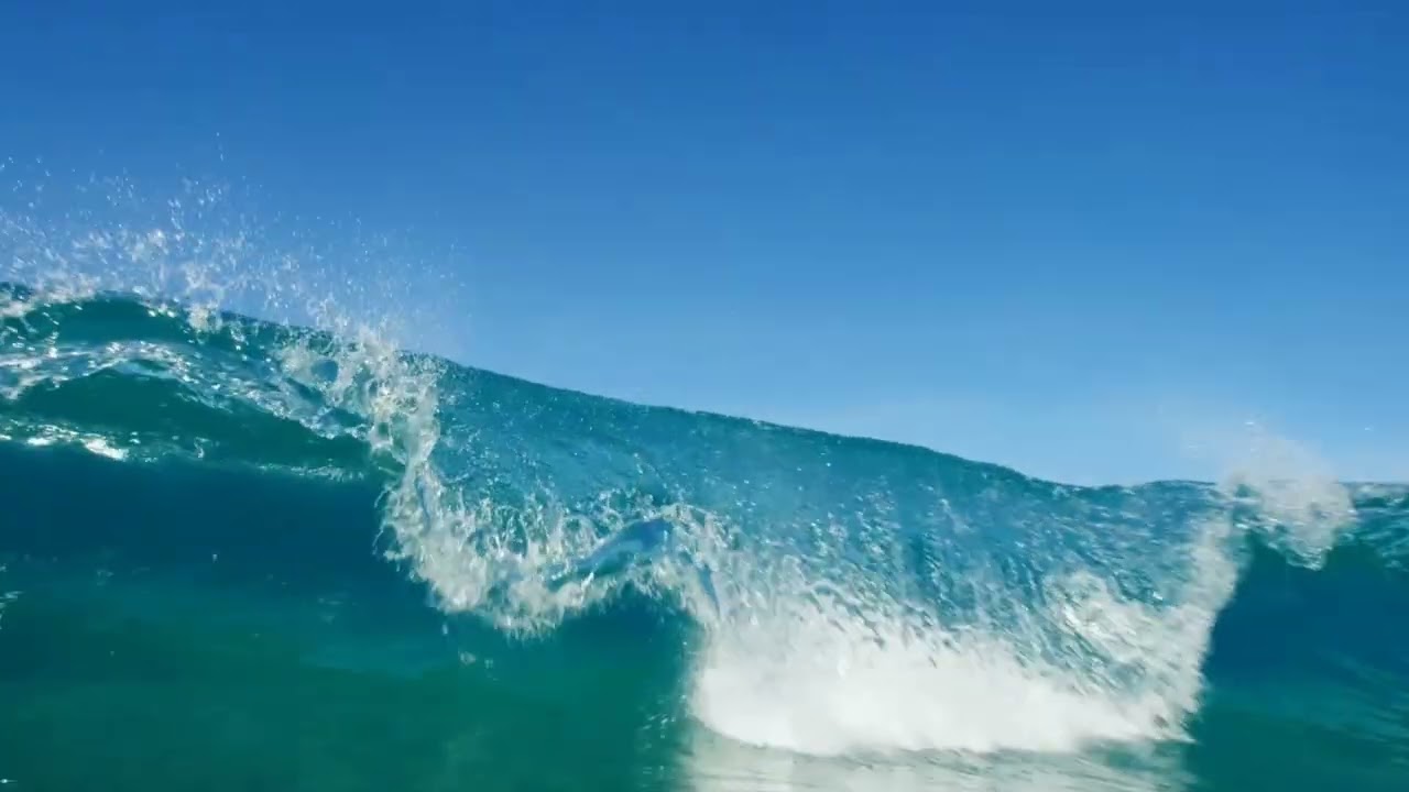 PROCI CE SVE VERUJ MI (2026)