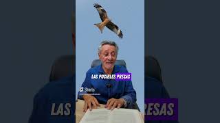 What Does It Mean To Be Intimidated  shorts curiosities intellect generalculture nestorarm