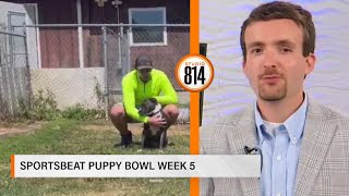 Sportsbeat Puppy Bowl Week 5: Macadamia picks Clearfield vs. Huntingdon | Studio 814