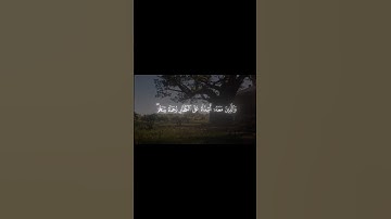 أواخر سورة"الفتح"بصوت الشيخ ياسر الدوسري❤ #قران_كريم #قران #قرآن