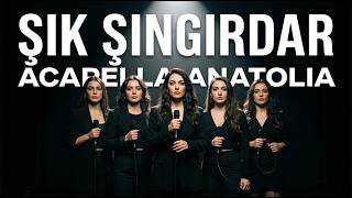 Şık Şıngırdar Female Acapella (Sine Sine) - Acapella Anatolia
