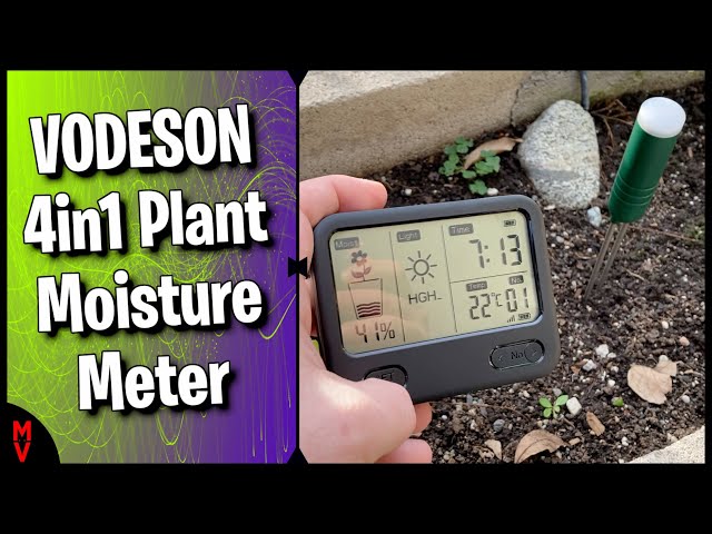 Care For Your Plants! || Vodeson 4in1 Moisture Meter || MumblesVideos Product Review