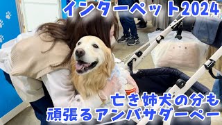 インターペット2024 ブッチアンバサダーぺーは亡き姉犬の分まで食べ尽くす