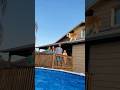 Dog Jumps Off the Roof into Pool! #dog #funnyshorts #doglife #shorts #viralvideo