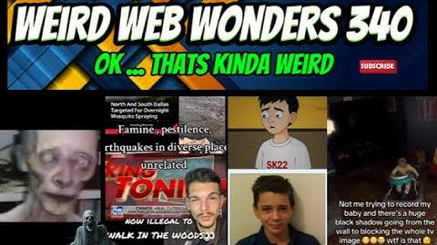 weird web wonders 340