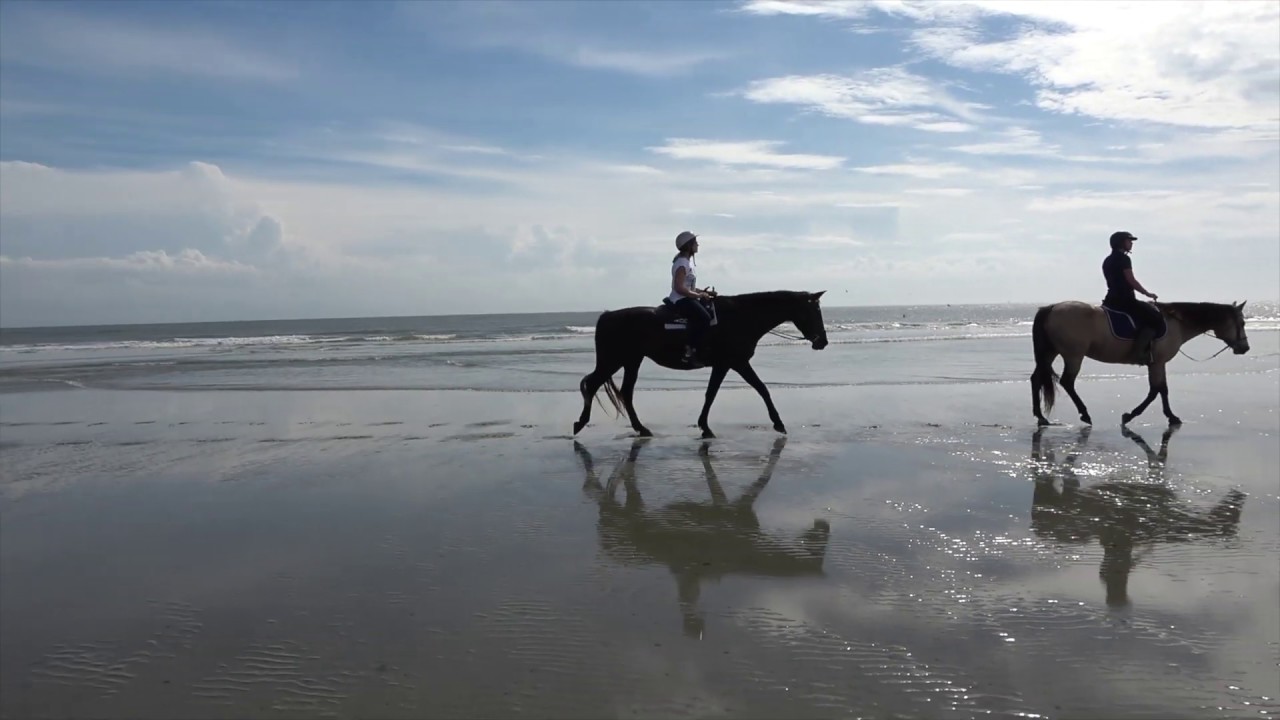 Seabrook Island, SC Horseback Riding along Beach - EP34