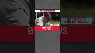 【皇居】今年も稲作始まる　天皇陛下が「お手まき」 #Shorts