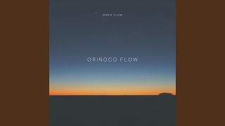Inner Flow