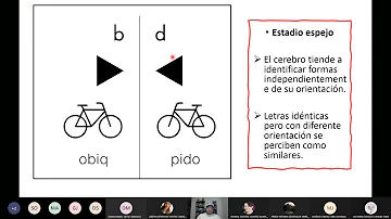 ¿Qué ve una persona con disgrafía?