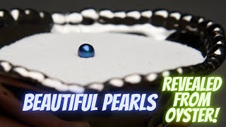 Beautiful Pearls! (Reveals 16486  16503)