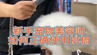 新手宠物美容师基础，如何正确挑毛的方式～