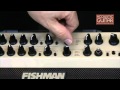 Fishman Loudbox Artist Review from Acoustic Guitar