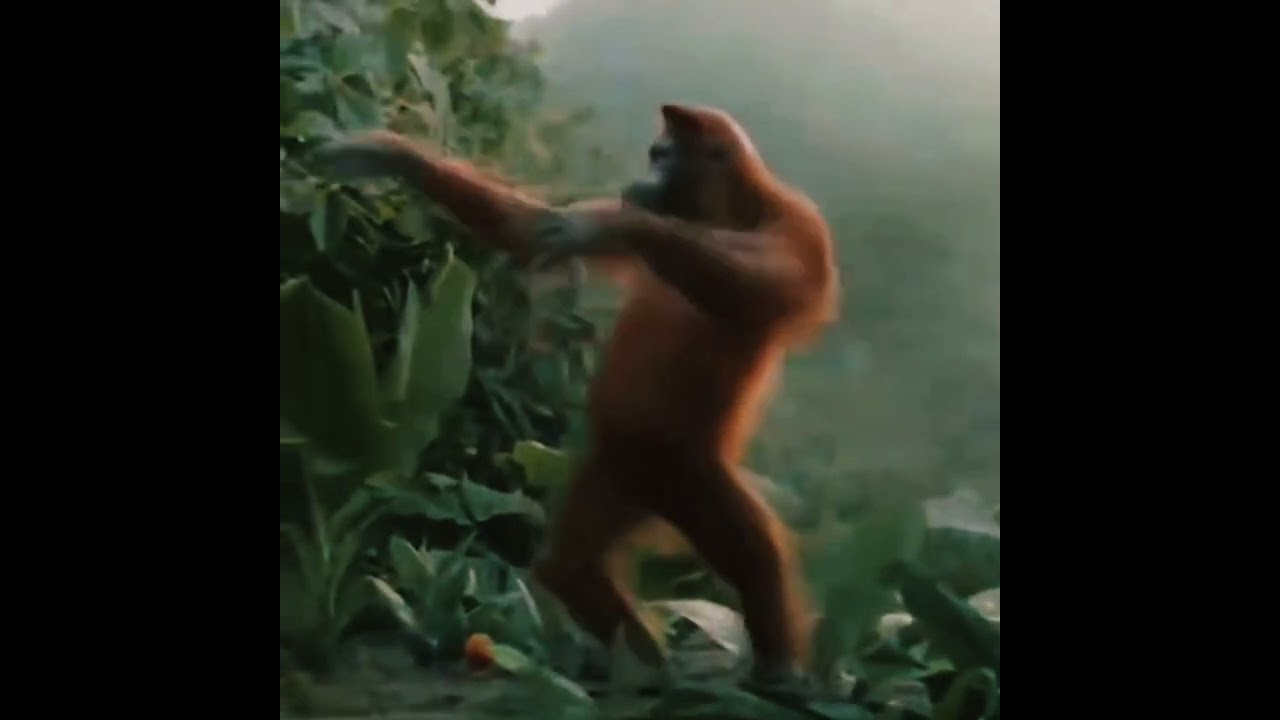 MAHAL MANDA BABA 😀 