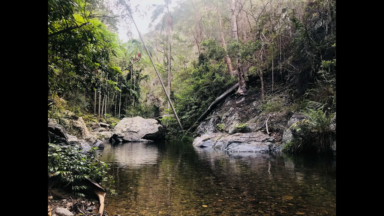 Northbrook Hiking Track Swimming & Hiking in Brisbane YouTube