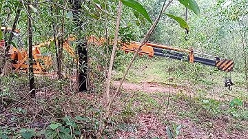 Hydraulic crane used to timber loading