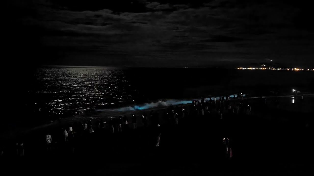 七里ヶ浜の夜光虫03 - YouTube