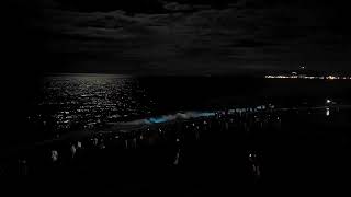 七里ヶ浜の夜光虫03 - YouTube