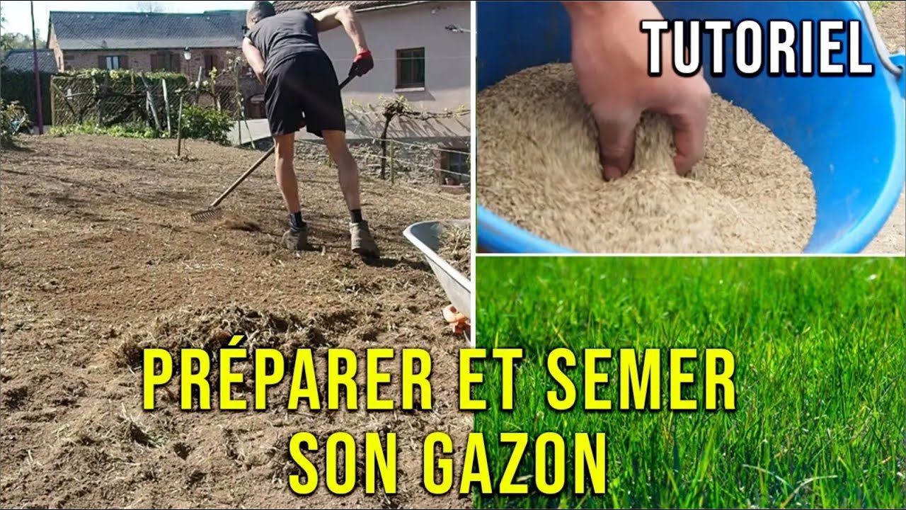 Comment Préparer et Semer un Gazon? pour Avoir une Joli Pelouse SANS