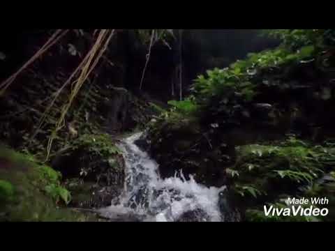 Leungiteun Teh nunu ~ story wa ~ Alam priangan.....