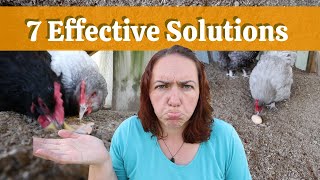 Do chickens eat their own eggs? 3 Reasons they might and what you can do to stop it!