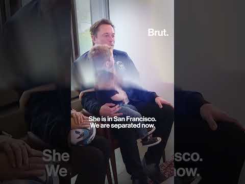 When Elon Musk's