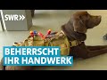 Labrador Balou auf Montage | Hunde am Arbeitsplatz