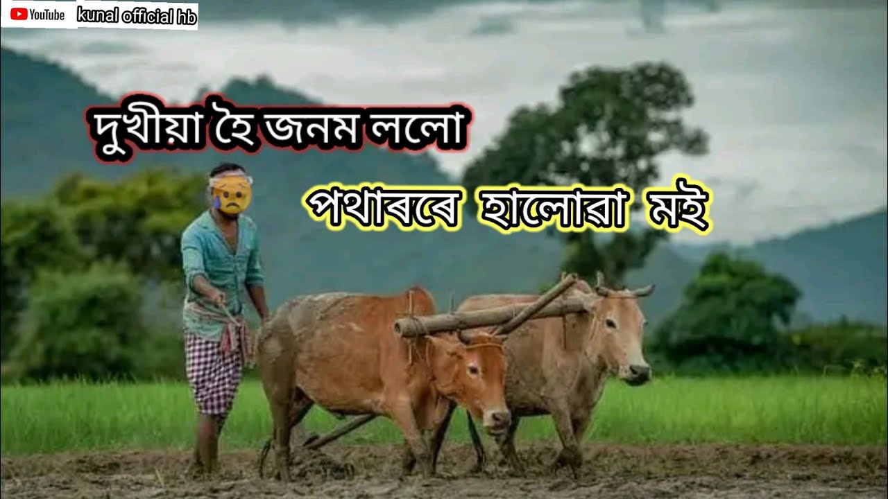 Dukhiya hoi jonom lolu   by Zubeen Garg Assamese  WhatsApp  status kunal official