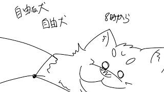朝から声を出して元気に出かけたい犬！！！！！！！！！！！！！！！！！！！！！！！！！！