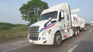 Proposito Autoquimicos