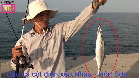 Cận cảnh câu cá cột điện Xẻo Nhàu - Hòn Sơn. The fishing satisfactorily