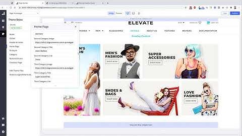 Elevate BigCommece Theme - Changing Home Page Category Images
