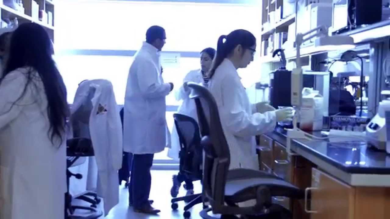 University of Puerto Rico- Institute for Functional Nanomaterials (IFN)