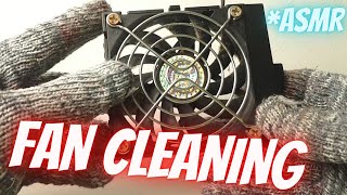 Cleaning A Dusty Cooler Fan (ASMR) | How To screenshot 4