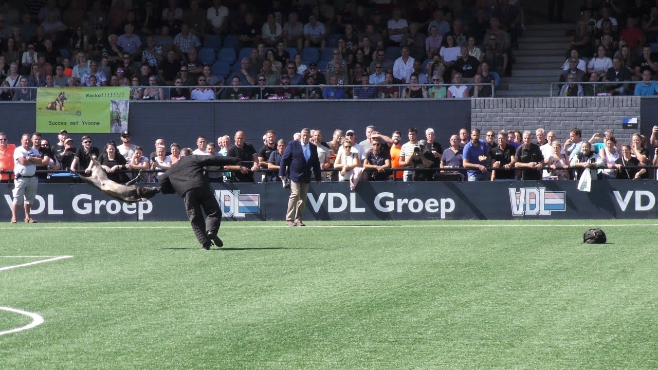 2022 KNPV Stokstellen PH2 en Object  3 september