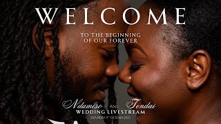Ndumiso & Tendai Wedding