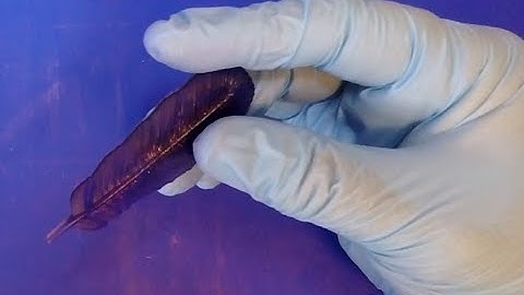 UV Resin Tips-Bubbles and Curing