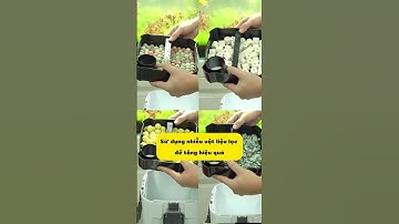 Lọc Thùng Sunsun XWA Tích Hợp Sẵn Lọc Váng Cao Cấp #locbeca #thuysinh #cácảnh