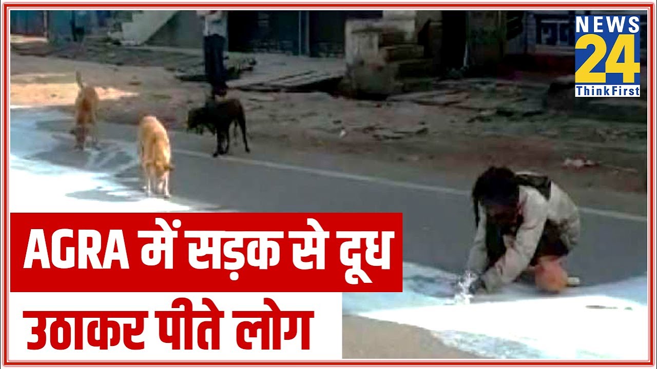 Agra में सड़क से दूध उठाकर पीते लोग II News24