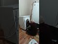 ETLİK ARÇELİK (TEKNİK) SERVİSİ   (0) 312 325 25 23...