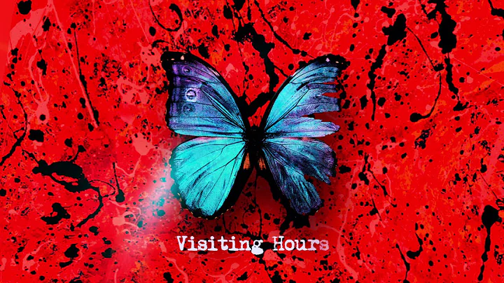 Ed Sheeran - Visiting Hours [Official Lyric Video] - DayDayNews