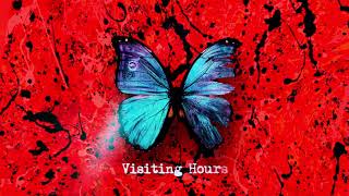 Video-Miniaturansicht von „Ed Sheeran - Visiting Hours [Official Lyric Video]“