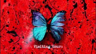 Ed Sheeran - Visiting Hours [ Lyric Video]