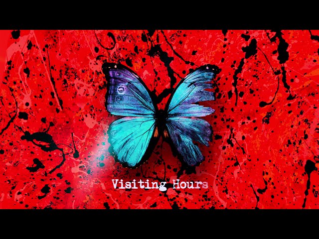 Ed Sheeran - Visiting Hours