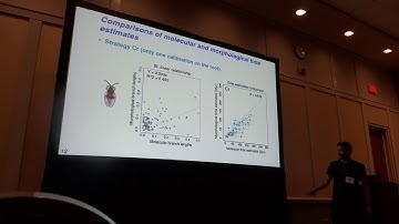 Montoya: Comparison of species divergence time estimation using morphological/molecular characters