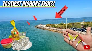 Everybody FISHES this JETTY for THIS! *Catch&Cook* (Johns pass fishing)