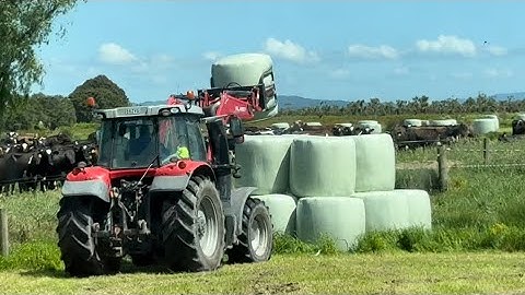 Stacking Silage, Crazy Jersey Bull Prices 