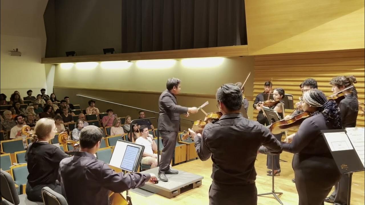 Владимир поляков танцы. Дирижер симфонического оркестра. Псковский симфонический оркестр. 27 апреля симфонический оркестр queen. Музыкальный оркестр вагнер.