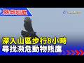 深入山區步行8小時 尋找瀕危動物熊鷹【熱線追蹤】