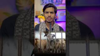 Dogs Are Not Safe In India Wohi