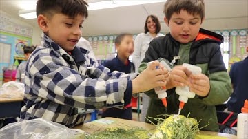 e2L: EPISD Learning Lounge Session